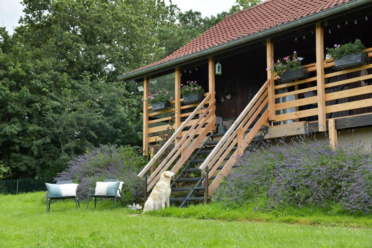 Le Chalet D'Eliot Chevigny  Exteriér fotografie